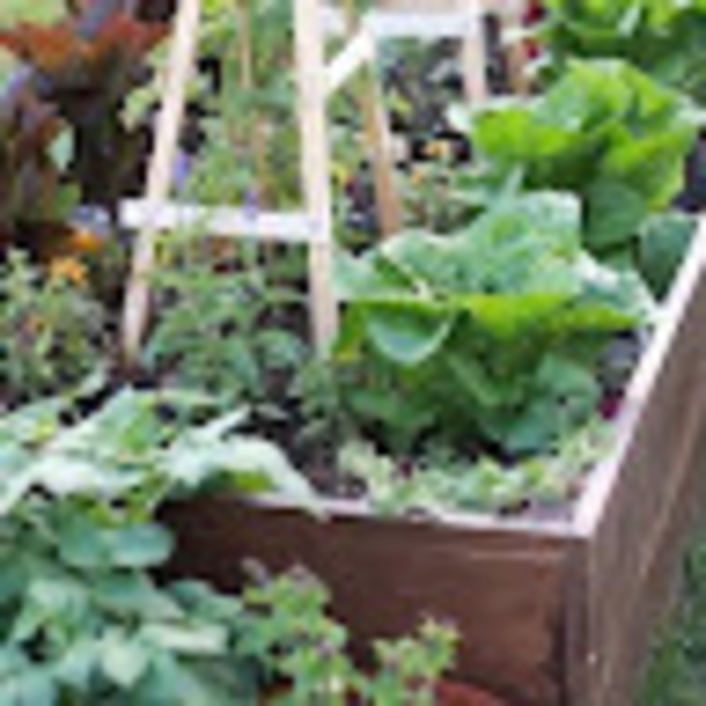 Meet your Posher, Raymond